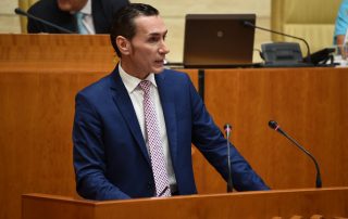 Saponi Parlamento