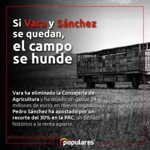 Campo 1