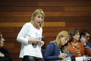 Nevado_np_170120