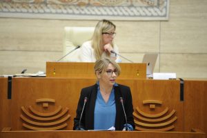 Teniente_np_120520