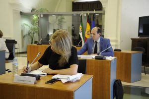 ComisionCovid_020620