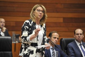 Teniente pregunta pleno